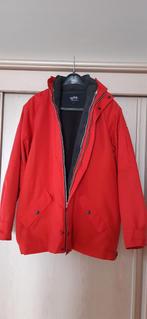 Damesjas kan zomer, herfst, winter gedragen worden, Ophalen of Verzenden, Zo goed als nieuw, Maat 42/44 (L), Rood