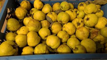 natuurlijk biologisch  KWEEPEREN per kist te koop beschikbaar voor biedingen