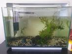 Superfish home 60, gebruikt, Dieren en Toebehoren, Vissen | Aquaria en Toebehoren, Ophalen, Leeg aquarium