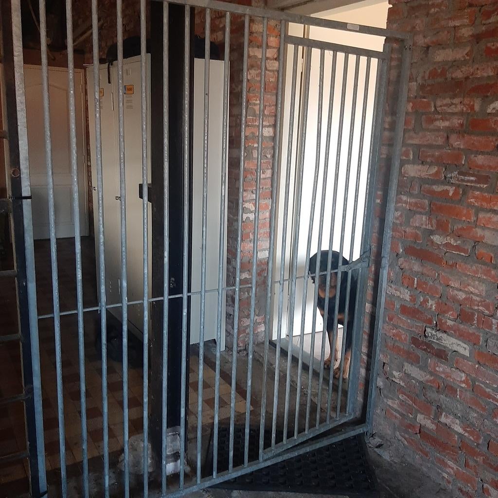 Honden paneel kennel, Dieren en Toebehoren, Hondenhokken, Ophalen of Verzenden, 110 cm of meer, 100 cm of meer