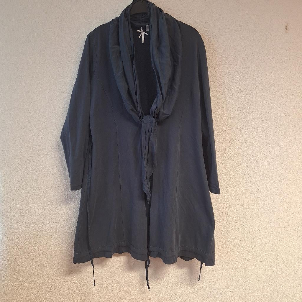 Dames tuniek, lang vest lange mouw Dreamstar grijs XL, Dreamstar, Maat 46/48 (XL) of groter, Ophalen of Verzenden, Zo goed als nieuw