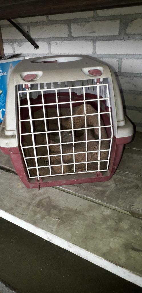 Katten reisbench, Dieren en Toebehoren, Ophalen