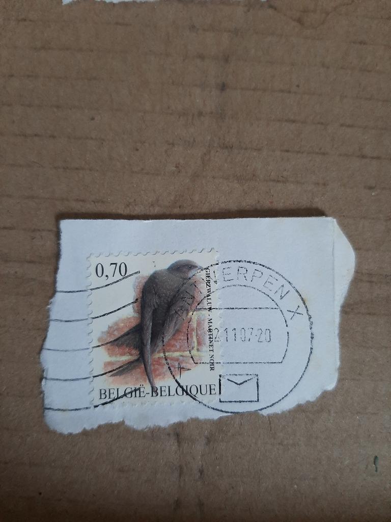 Belgie vogel gierzwaluw, Verzenden, Gestempeld