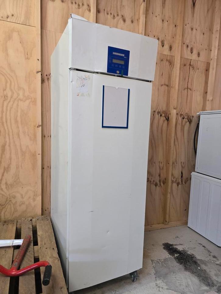 Liebherr koeling op wielen - Professionele koelkast, Witgoed en Apparatuur, Koelkasten en IJskasten, Gebruikt, Zonder vriesvak