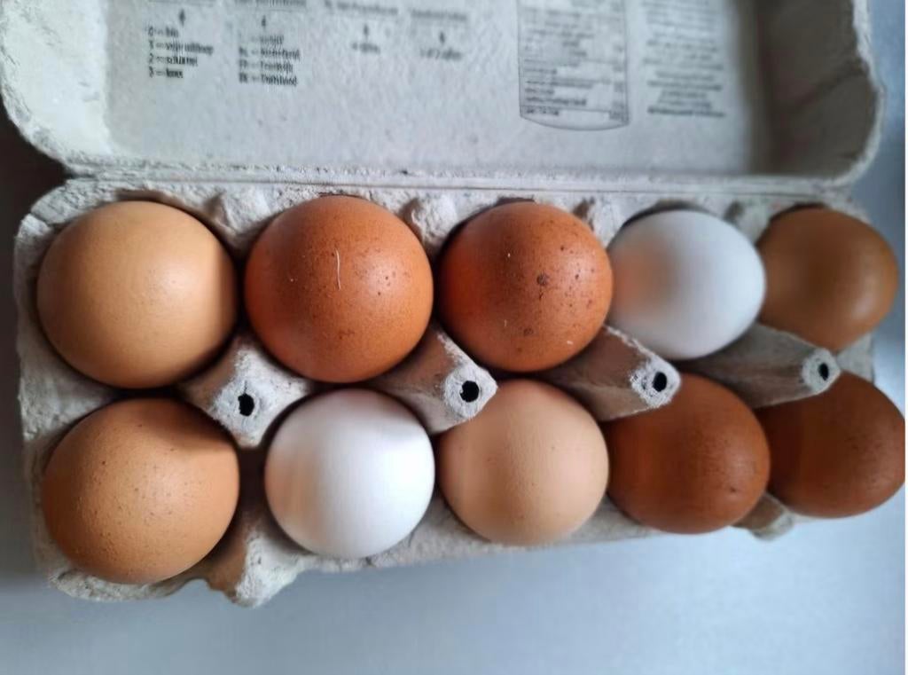 Verse eitjes, Dieren en Toebehoren, Ophalen, Nieuw, Overige typen