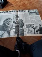 Artikel gesprekken met dieren diergaarde Blijdorp Rotterdam, Ophalen of Verzenden, 1940 tot 1960, Knipsel(s)