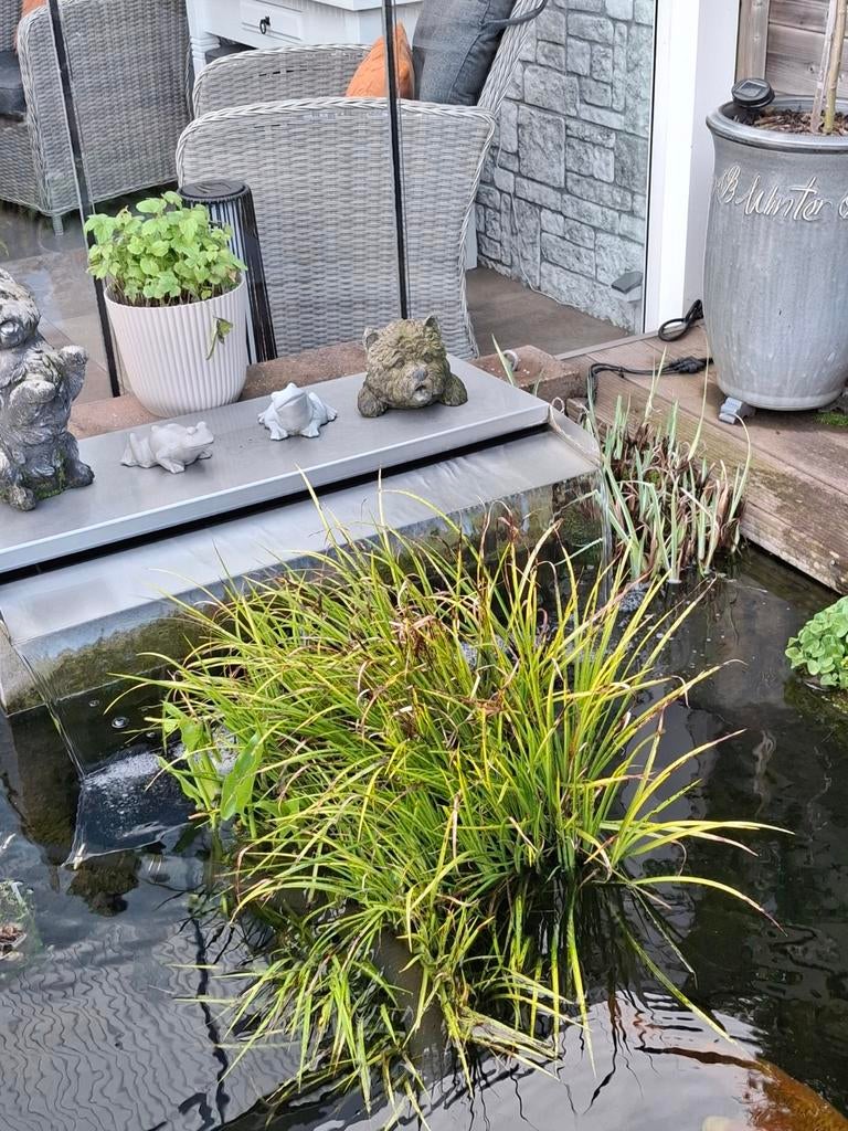 RVS waterval met Aquaforte pomp, Ophalen