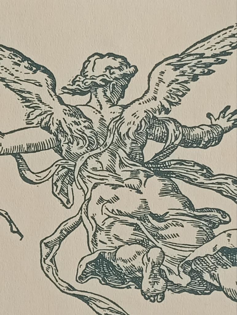 Kunstschrift grafisch vignet, Ophalen of Verzenden