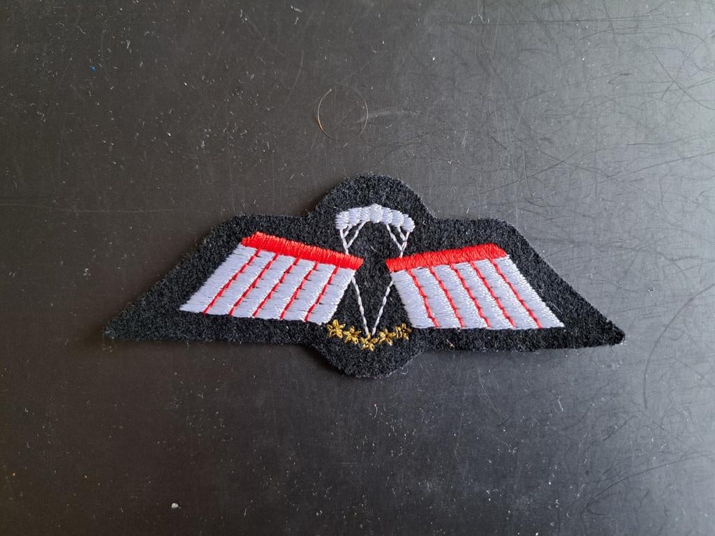 Parawing KCT D, vrije val, Halo, DT, embleem, Verzamelen, Militaria | Algemeen, Ophalen of Verzenden, Landmacht, Nederland, Embleem of Badge