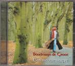 Boudewijn de Groot - Een nieuwe herfst, Ophalen of Verzenden, Gebruikt, Pop