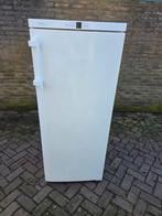 Liebherr vrijstaande 6 laden vrieskast Energieklasse A++, Minder dan 60 cm, 160 cm of meer, Zo goed als nieuw, Energieklasse A of zuiniger