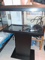 Aquarium, Ophalen of Verzenden, Leeg aquarium