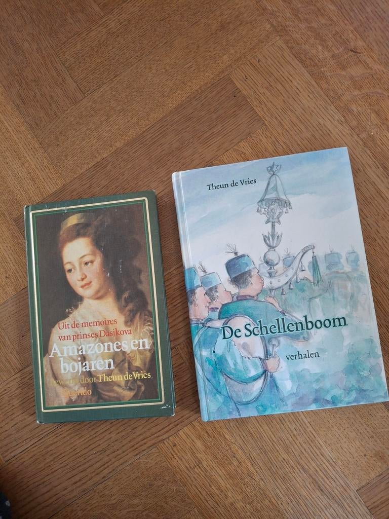 Twee boeken van Theun de Vries: Amazones en De Schellenboom, Ophalen of Verzenden