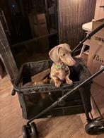 Nieuwe hondenbuggy hondenkar !!, Dieren en Toebehoren, Ophalen of Verzenden, Nieuw