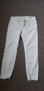 Cambio broek maat 40, Ophalen of Verzenden, Zo goed als nieuw, Maat 38/40 (M), Lang