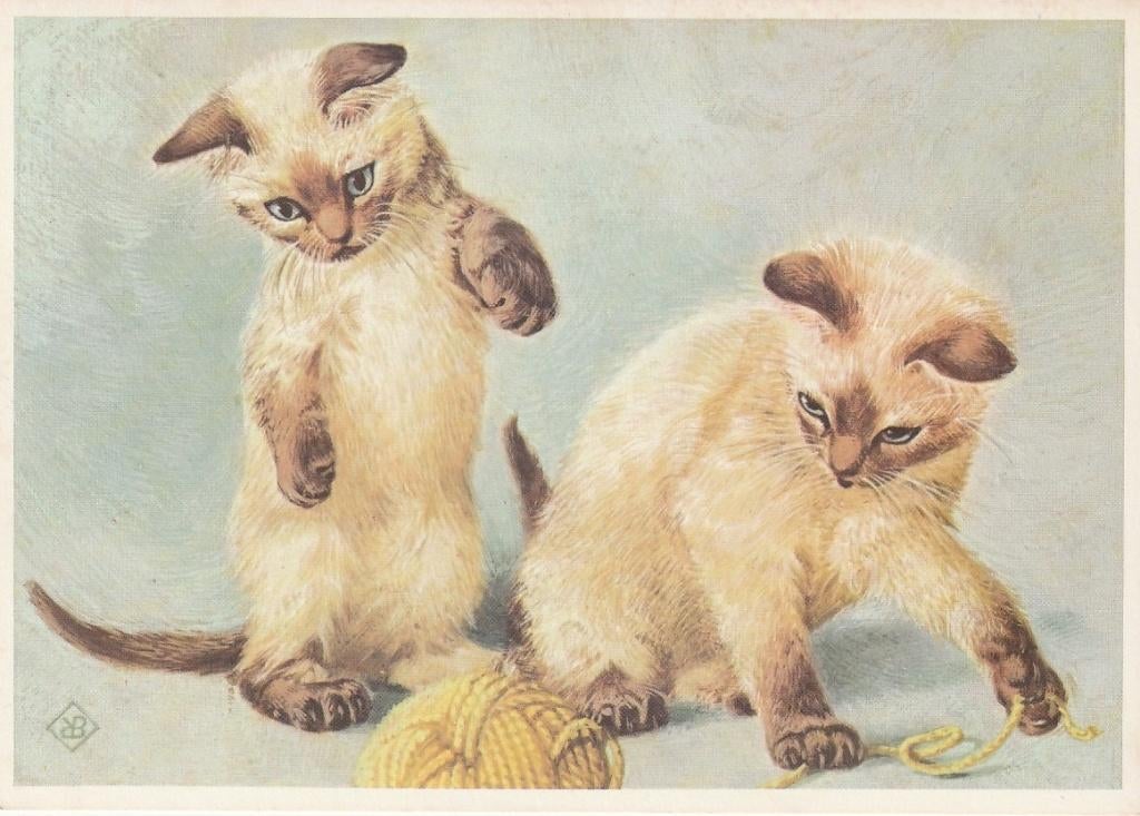 POES ONTW. KO VAN DEN BROECKE JAREN 60 ZEER MOOI KAART Kl587, Verzenden, 1960 tot 1980, Ongelopen