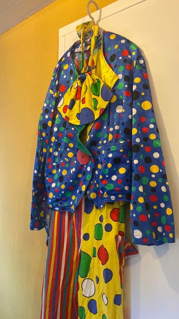 Compleet clownspak handgemaaktmast S, M of L, Kleding | Dames, Carnavalskleding en Feestkleding, Ophalen of Verzenden, Gedragen