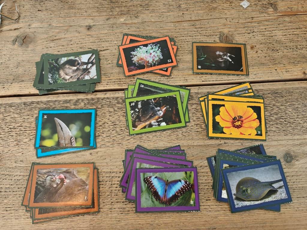 DekaMarkt Artis stickers voor in het boekje, Ophalen of Verzenden