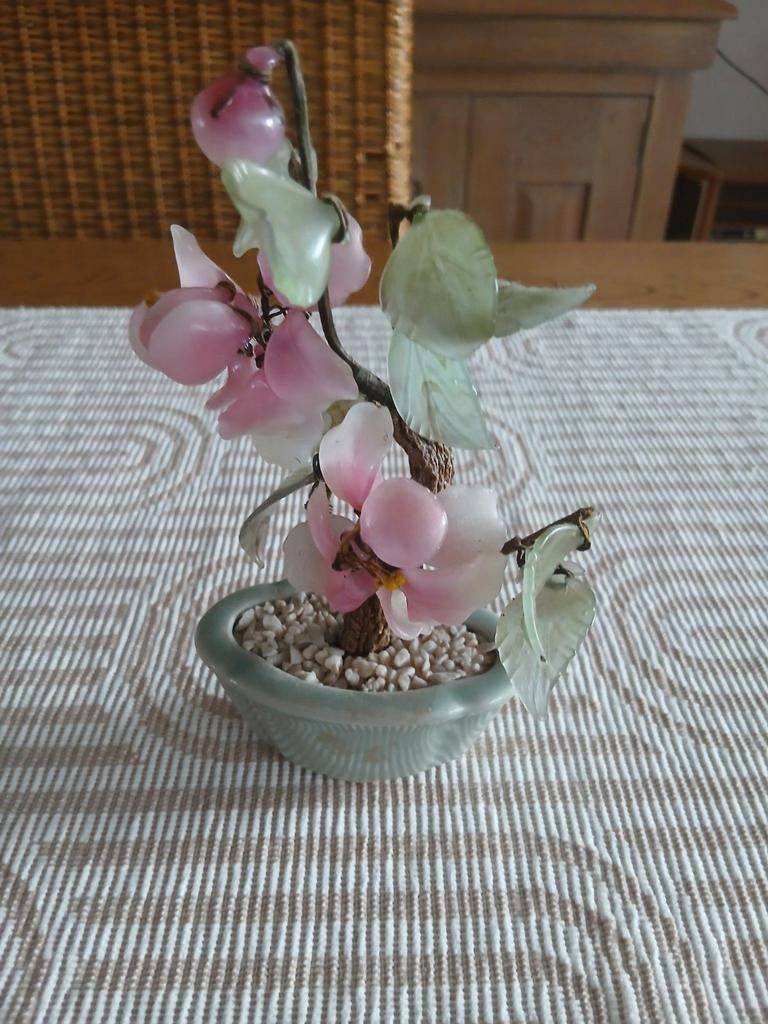 Chinees jade boompje, Ophalen of Verzenden