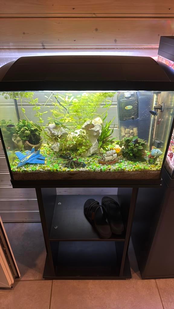 Te koop aqarium met meubel, Dieren en Toebehoren, Ophalen of Verzenden, Zo goed als nieuw, Gevuld zoetwateraquarium
