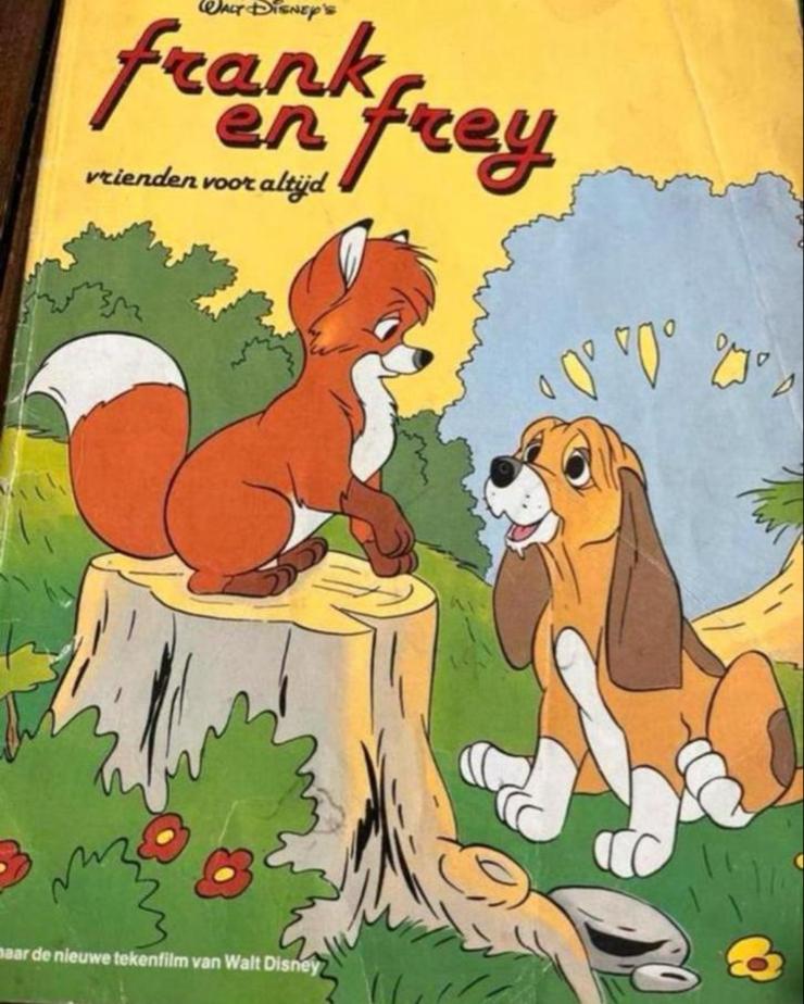 Walt Disney's Frank en Frey: Vrienden voor Altijd (stripboek, Boeken, Eén stripboek, Ophalen of Verzenden, Gelezen