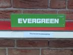WSI  40  FT  Container  van  Evergreen.