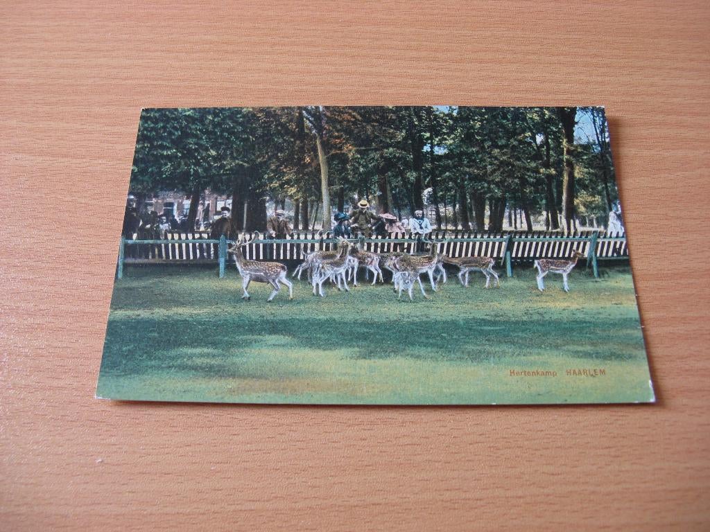 Haarlem hertenkamp 5, Ophalen of Verzenden, Voor 1920, Ongelopen, Noord-Brabant