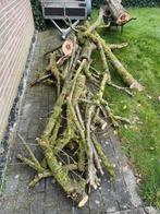 Appelboom haardhout - Takken en stammen, Minder dan 3 m³, Ophalen, Overige houtsoorten, Takken