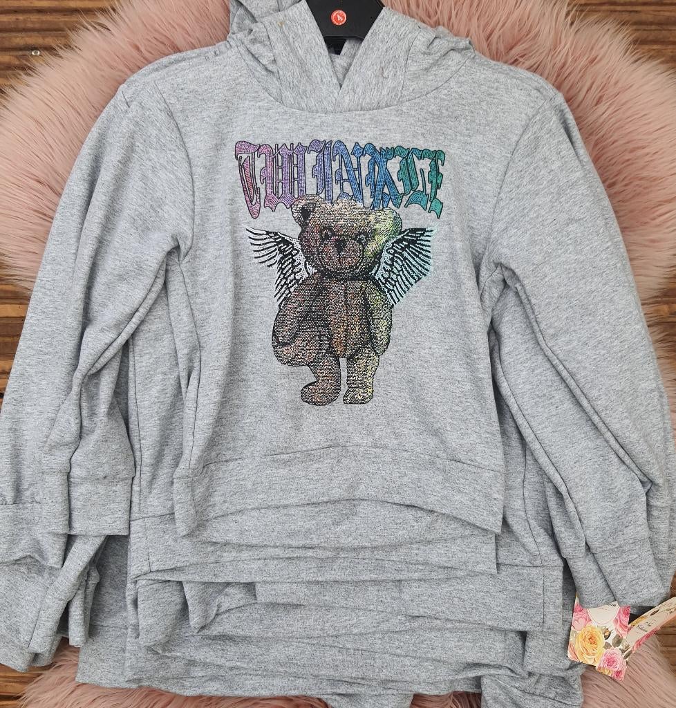 Hoodies Beertje met tekst - Grijs mt 122/128., Kinderen en Baby's, Kinderkleding | Maat 128, Meisje, Trui of Vest, Nieuw, Ophalen of Verzenden