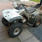 Bashan 250cc, Ophalen of Verzenden