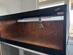 OSB terrarium 120x50x50, Dieren en Toebehoren, Ophalen, Zo goed als nieuw