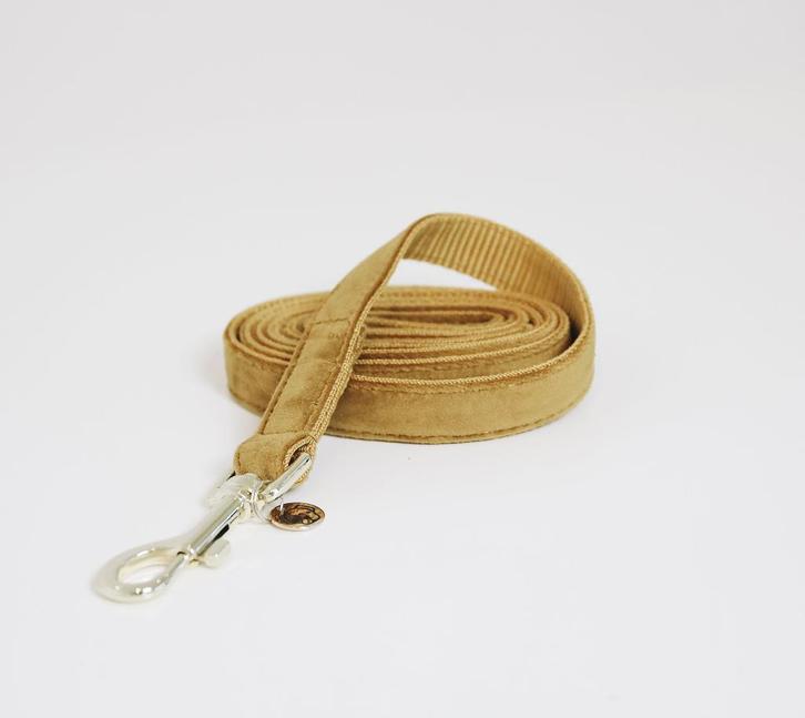 KENTUCKY Velvet Hondenlijn Mosterd L 2 x 120 cm KOOPJE!!!, Dieren en Toebehoren, Hondenriemen, Nieuw, Hondenriem, Ophalen of Verzenden