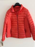 Montego zomerjas maat 44, Ophalen of Verzenden, Gedragen, Maat 42/44 (L), Oranje