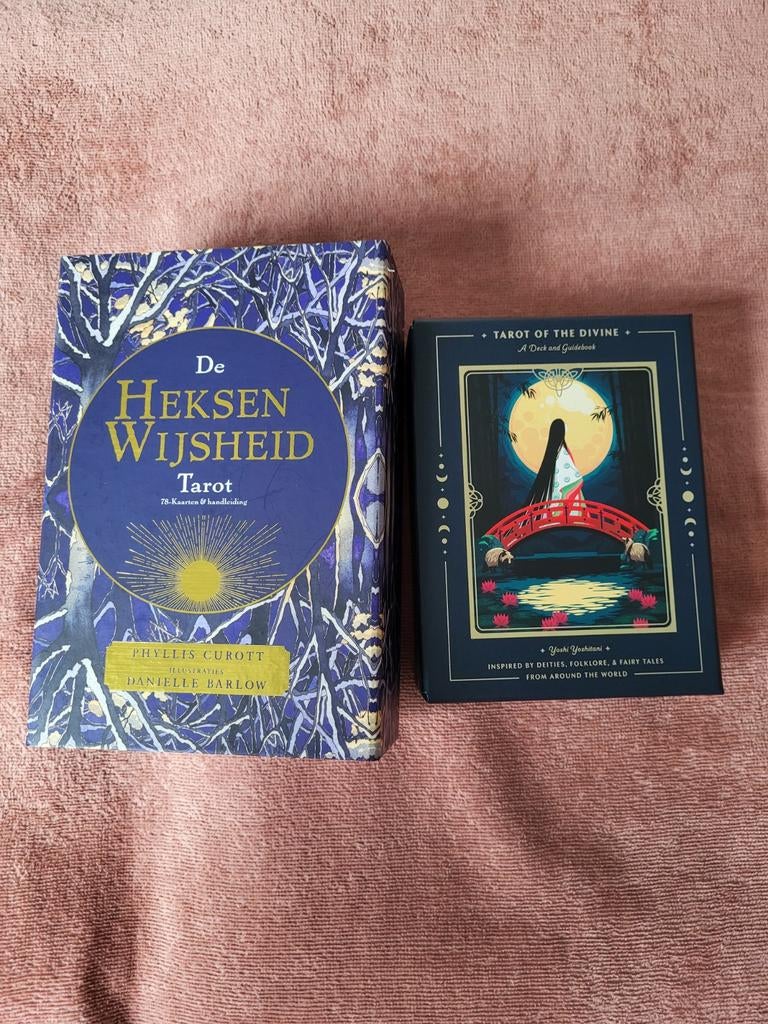 Gereserveerd! Heksenwijsheid Tarot en Tarot of the divine, Boeken, Ophalen of Verzenden, Zo goed als nieuw, Tarot of Kaarten leggen