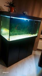 Juwel rio 350 led combinatie  aquaruim, Ophalen