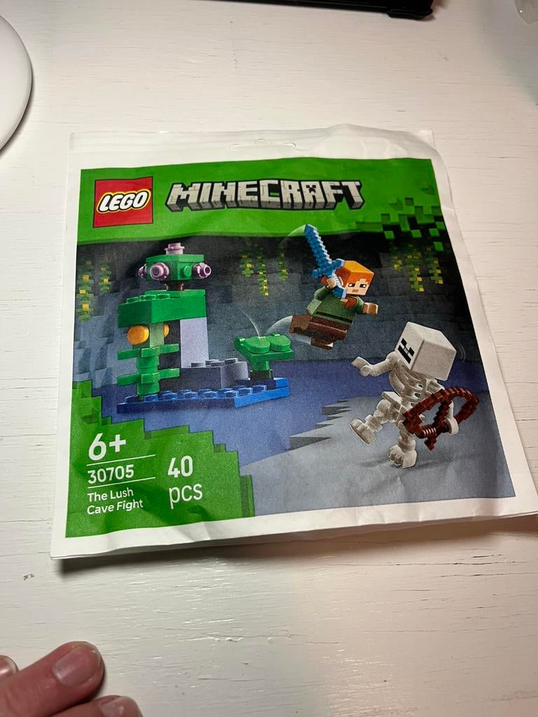 Lego minecraft the lush cave fight #30705, Ophalen of Verzenden, Zo goed als nieuw, Complete set, Lego