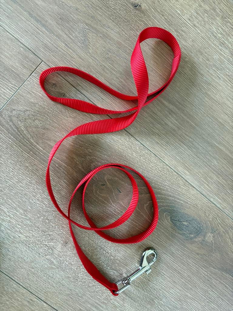 Korte rode honden of kattenriem, Ophalen of Verzenden, Zo goed als nieuw