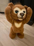 Furreal Cubby beer, Ophalen, Gebruikt, Beer