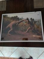 Dinosaurus in lijstje! GRATIS op te halen!, Ophalen of Verzenden, Insect, Opgezet dier