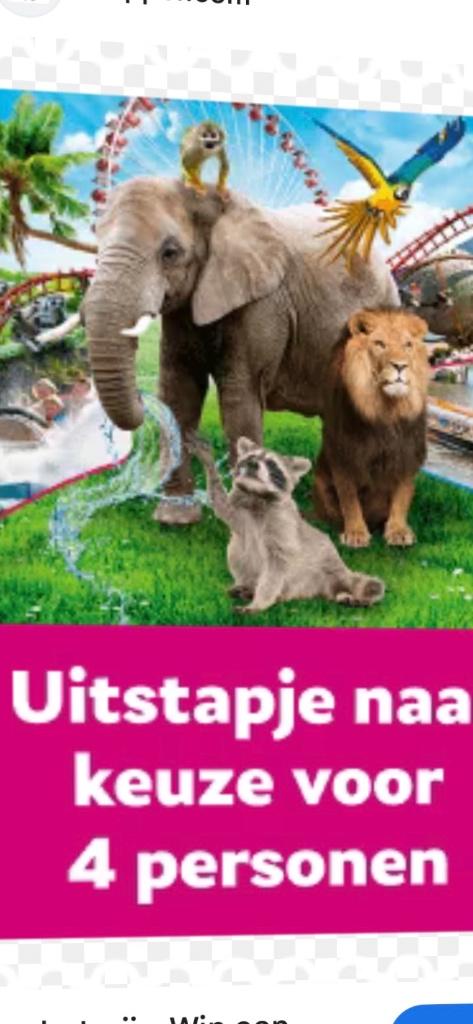 4 kaarten , voor een uitje naar keuze. €75, Tickets en Kaartjes, Drie personen of meer, Ticket of Toegangskaart