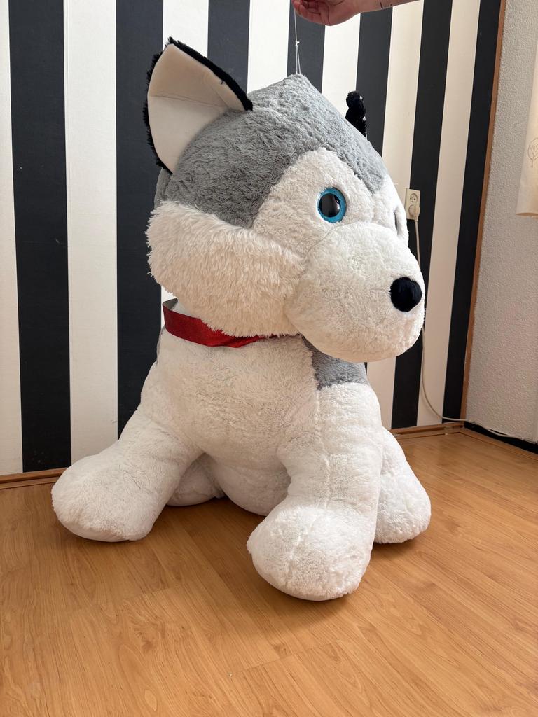 Grote knuffelhond - Husky, Ophalen, Grijs, Hond, Zo goed als nieuw