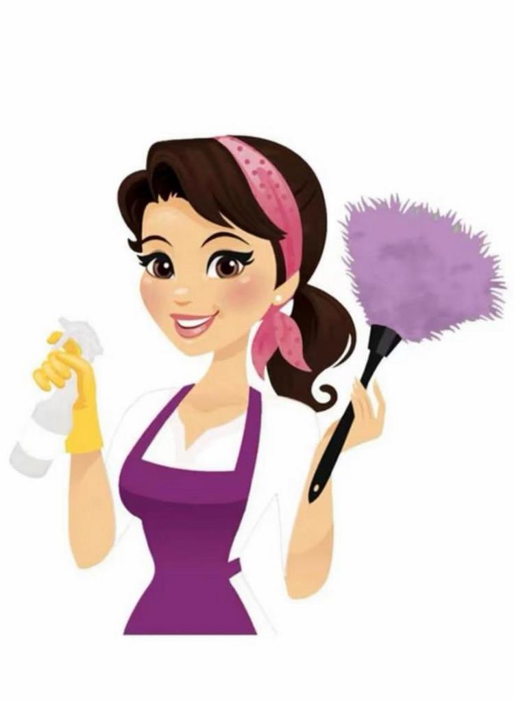 Schoonmaakhulp gezocht Nistelrode/Heesch, Overige niveaus, Overige vormen