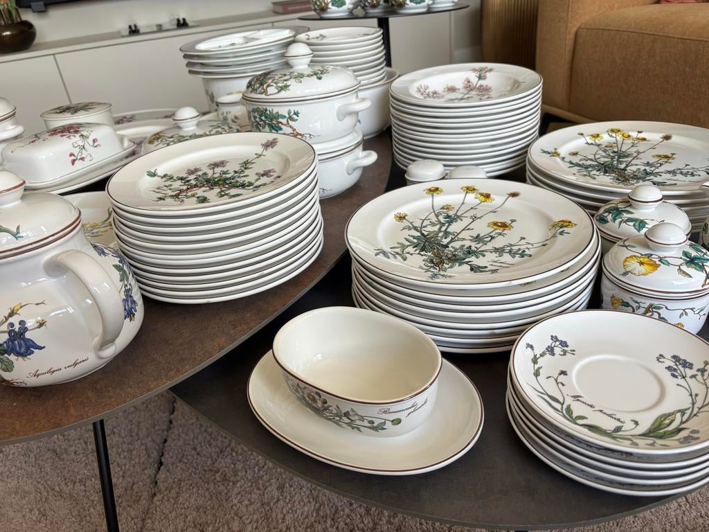 Uitgebreid Villeroy & Boch Botanica servies (95), Ophalen, Zo goed als nieuw, Overige stijlen, Porselein