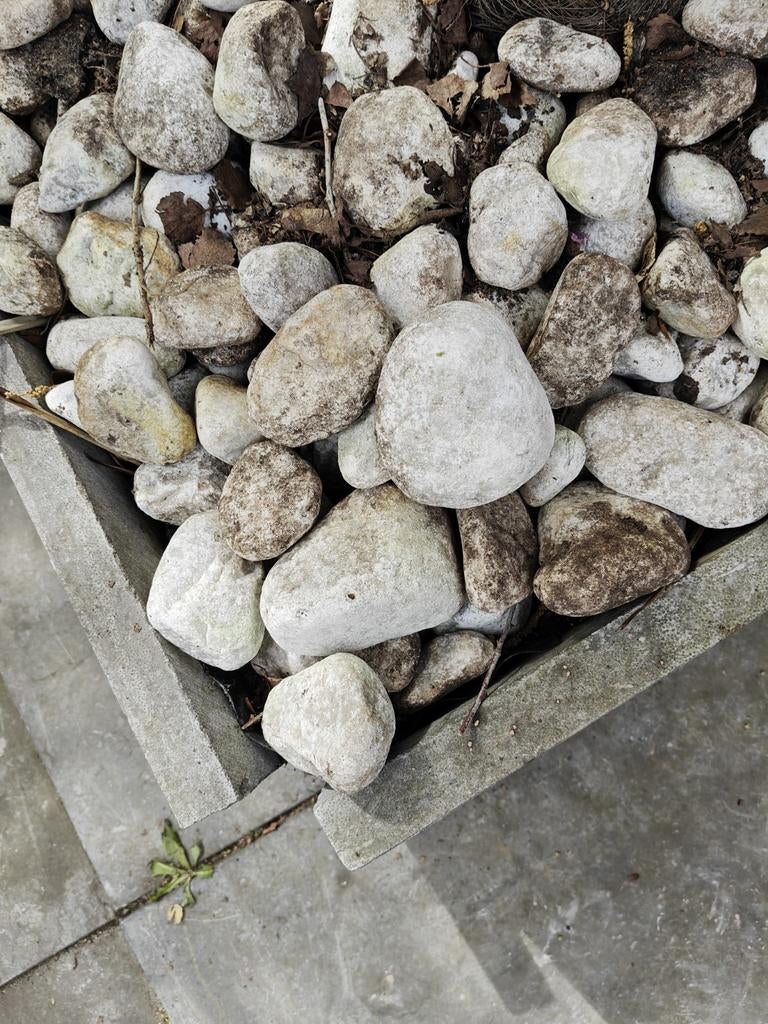 Siergrind gratis op te halen, Tuin en Terras, Grind, Keien en Split, Ophalen, Gebruikt, Grijs, Grind