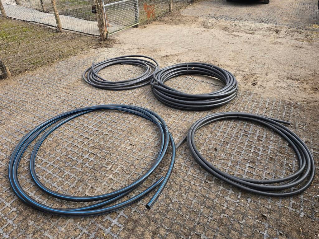 Tyleenslang in verschillende maten, Ophalen