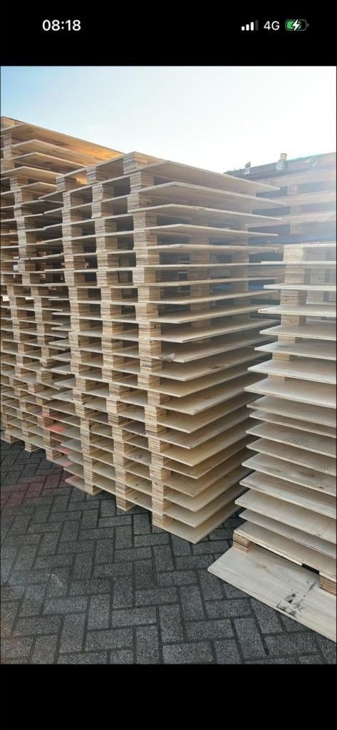 Gratis pallets af te halen Maasvlakte, Ophalen, Zo goed als nieuw, 50 mm of meer, Pallet
