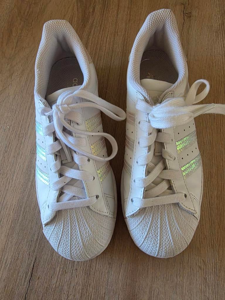 Adidas Superstar maat 36, Ophalen, Nieuw, Jongen of Meisje