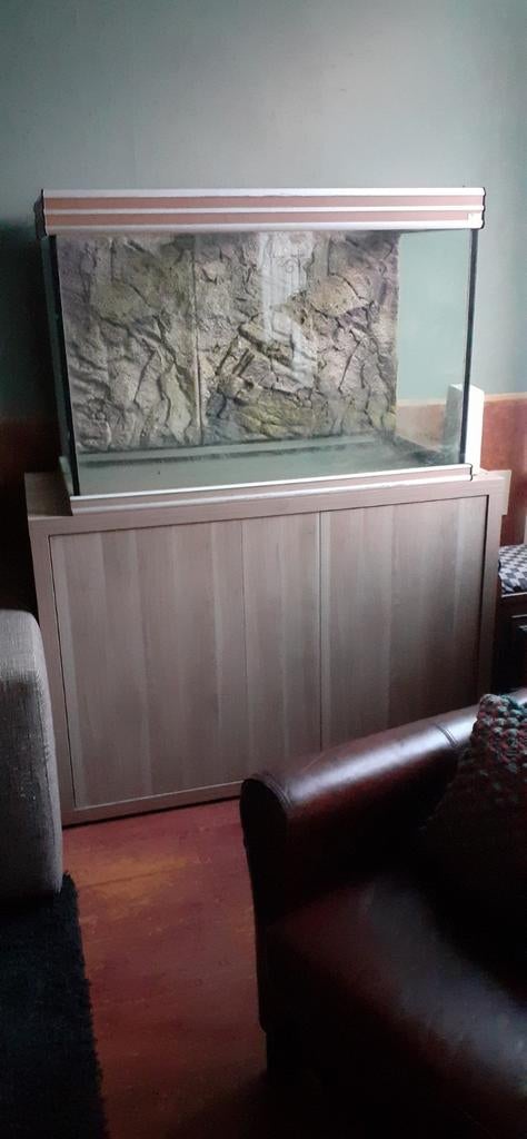 Aquarium met kast en toebehoren.Bieden vanaf 125,00 euro., Ophalen, Gebruikt