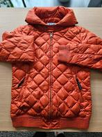 G Star Oranje gewatteerde jas, Maat 38/40 (M), Oranje, Ophalen of Verzenden, Gedragen