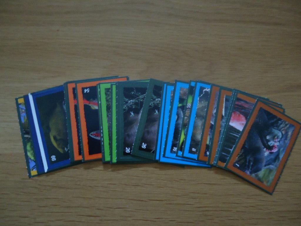 DEKAMARKT  STICKERS, Verzamelen, Ophalen of Verzenden, Nieuw